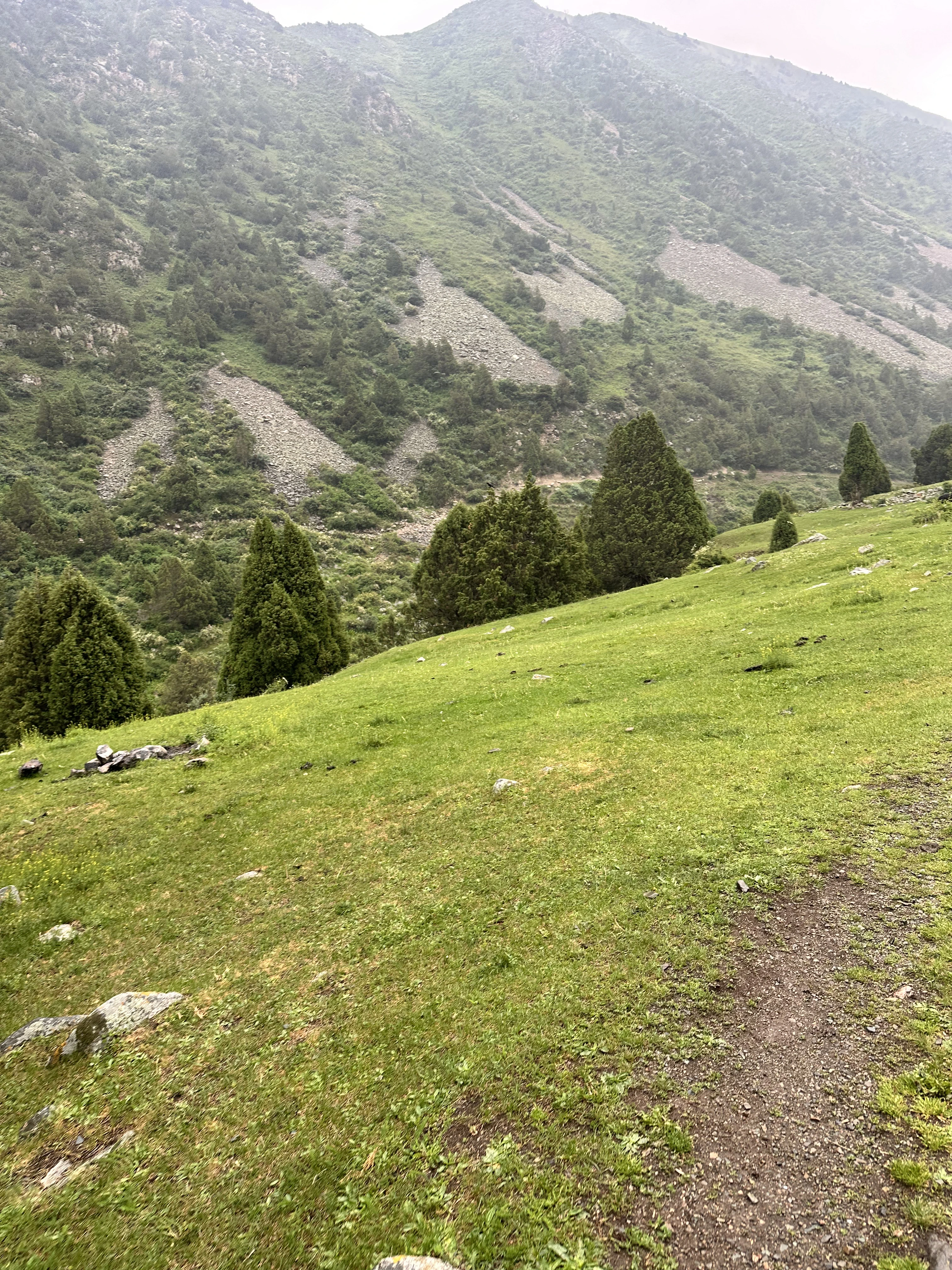 Placeholder Nature