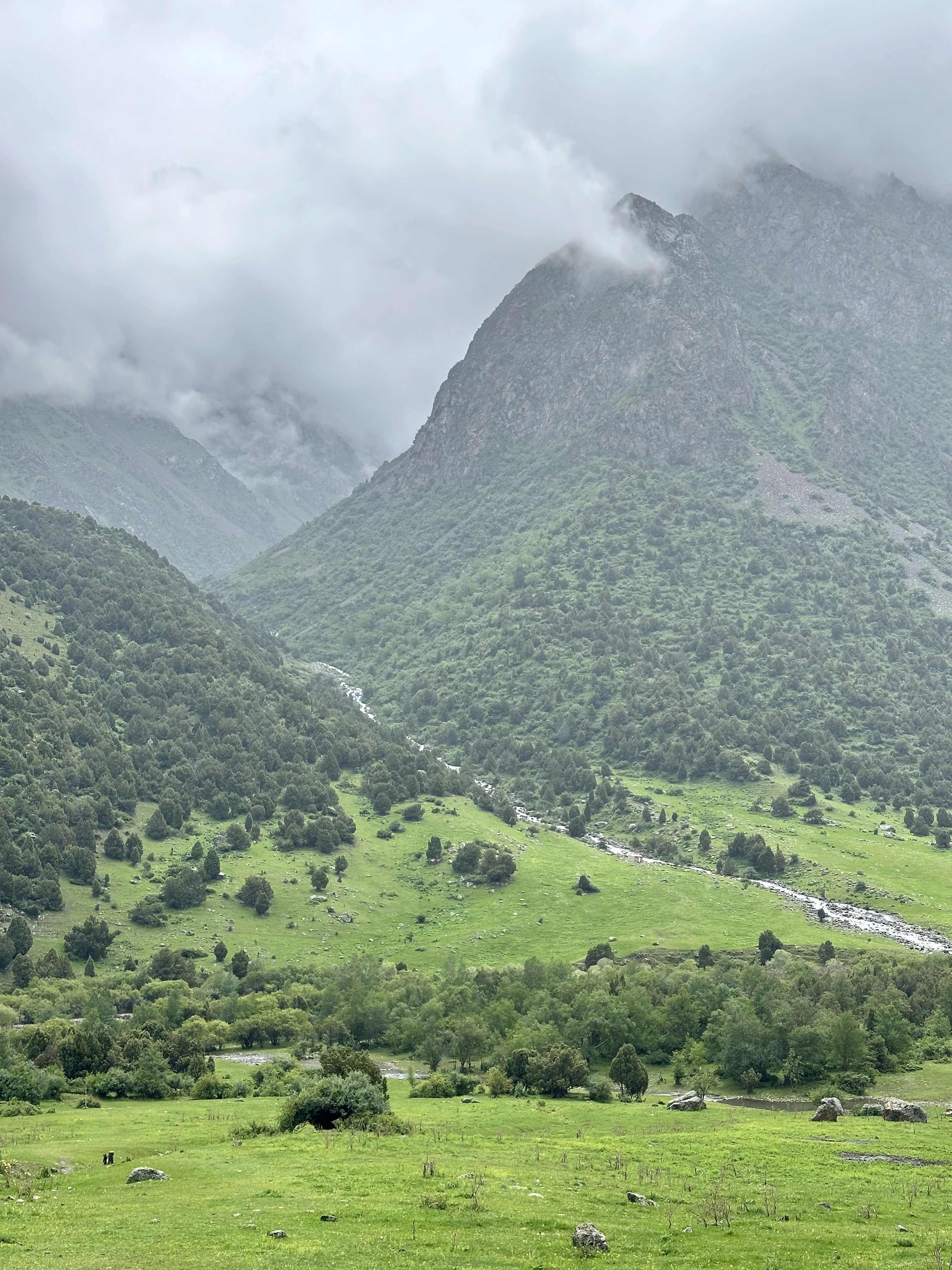 Placeholder Valley